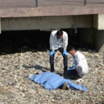 Ordu’da deniz kenarında erkek cesedi bulundu